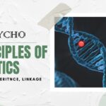 Principles Of Genetics: Alleles, Inheritnce, Linkage and more