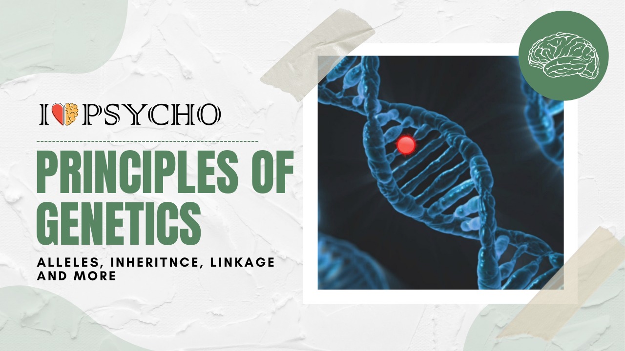 Principles Of Genetics: Alleles, Inheritnce, Linkage and more